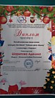 Шарипова АделинаДиплом призера  "Подарок Деду Морозу"